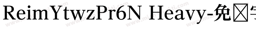 ReimYtwzPr6N Heavy字体转换